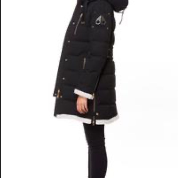 Navy blue with golden details - Picture 5 of 5